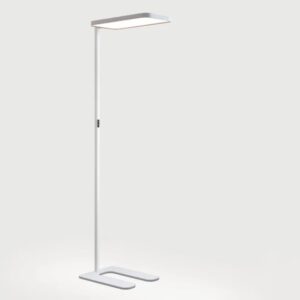 Caleo-W1-2