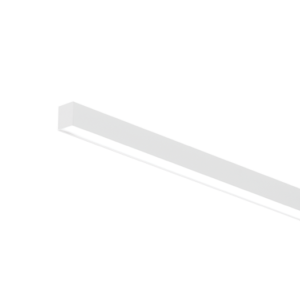 Kalis-W-55-2