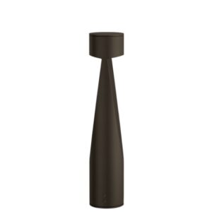 Ianus2-H600
