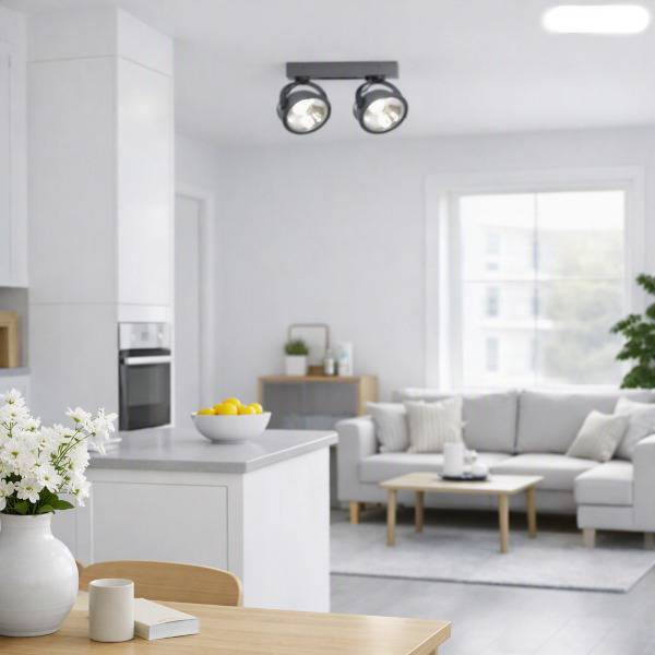 Mascot-Lighting-IL1-2 Mascot-Lighting-IL1-2