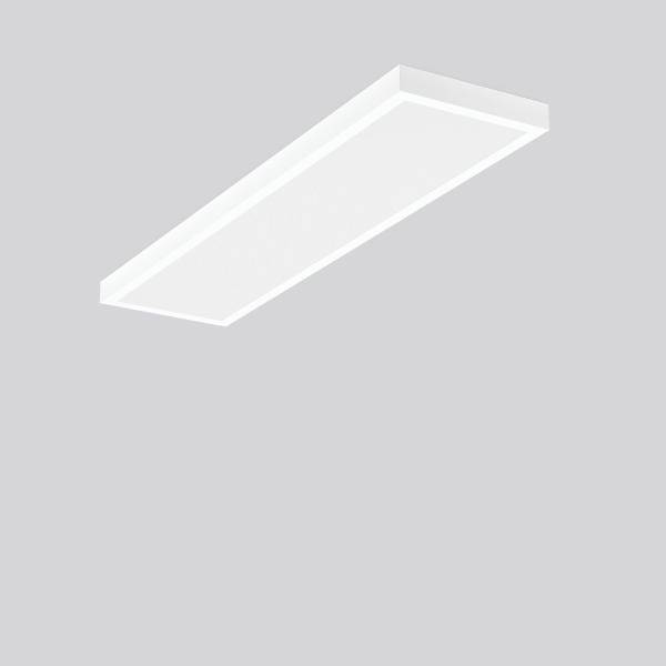 RZB-312771-002-1-Article-image