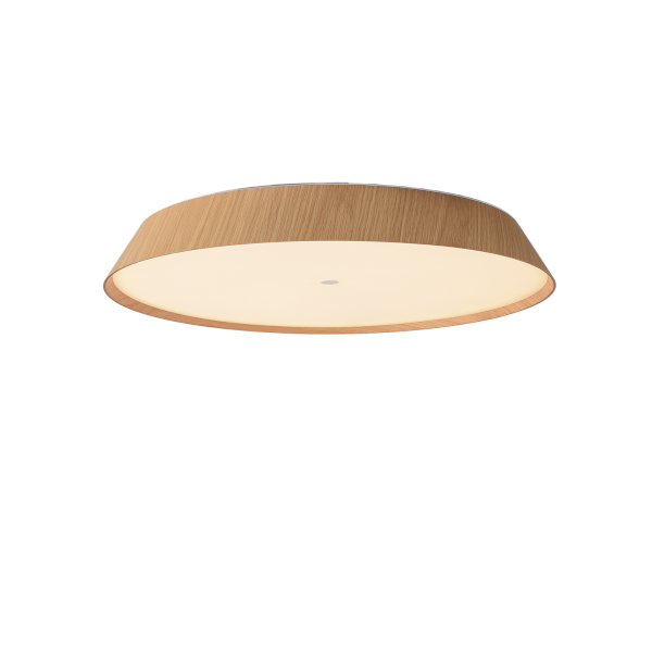 ACB-Lighting-Cora-D610-laevalgusti